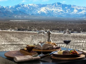 Trip to Mendoza - Argentina